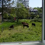 Apartment Dreesen