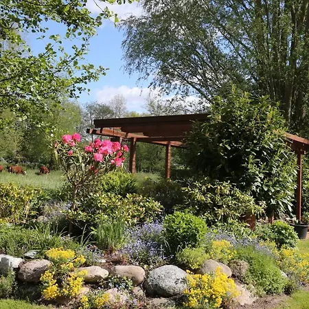 Dreesen Apartmán *