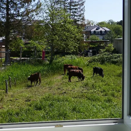 Apartmán Dreesen
